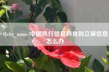 宁波中国执行信息网查到立案信息怎么办