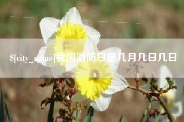 宁波我国消防日是几月几日几日