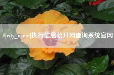 宁波执行信息公开网查询系统官网