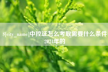 宁波中控证怎么考取需要什么条件2024年的