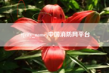 宁波中国消防网平台
