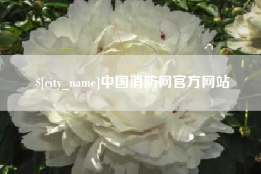 宁波中国消防网官方网站