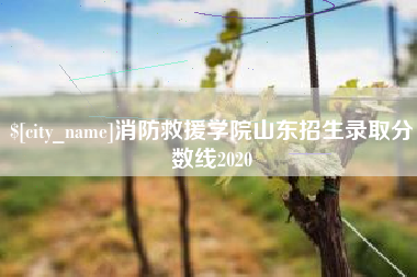 宁波消防救援学院山东招生录取分数线2020