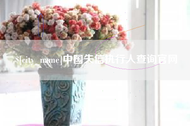 宁波中国失信执行人查询官网