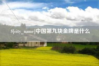 宁波中国第九块金牌是什么
