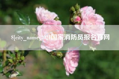 宁波2021国家消防员报名官网