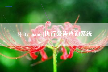 宁波执行公告查询系统