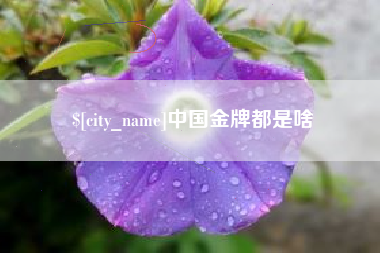 宁波中国金牌都是啥