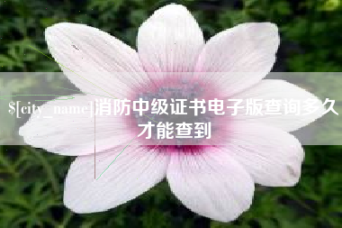 宁波消防中级证书电子版查询多久才能查到