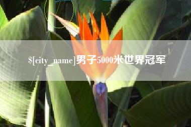宁波男子5000米世界冠军