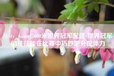 宁波5000米世界冠军配速-世界冠军们往往能在比赛中巧妙地分配体力