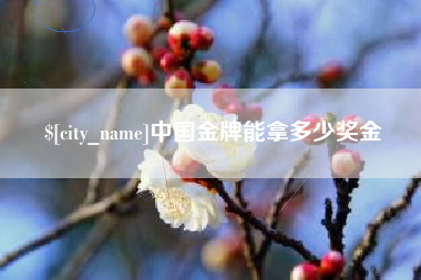 宁波中国金牌能拿多少奖金