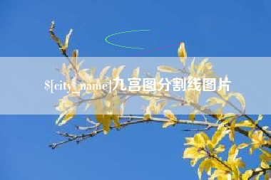 宁波九宫图分割线图片