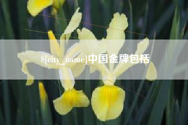 宁波中国金牌包括