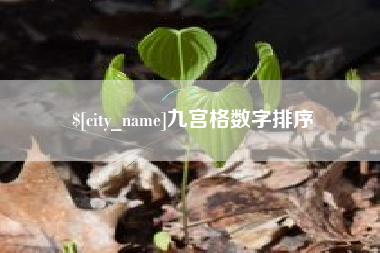 宁波九宫格数字排序