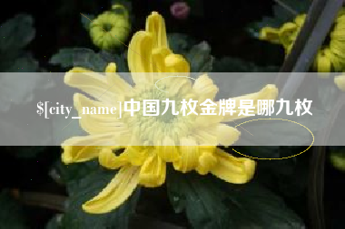 宁波中国九枚金牌是哪九枚