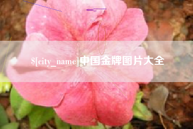宁波中国金牌图片大全