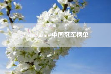 宁波中国冠军榜单