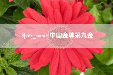 宁波中国金牌第九金