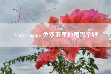 宁波免费卫星地图哪个好