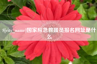 宁波国家应急救援员报名网址是什么