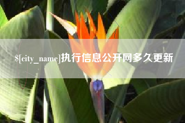 宁波执行信息公开网多久更新