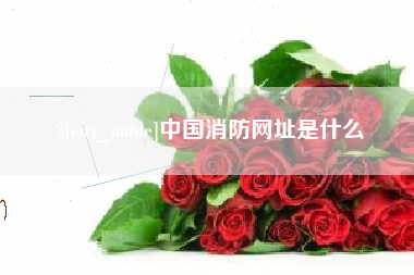 宁波中国消防网址是什么