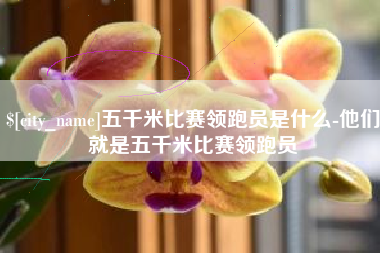 宁波五千米比赛领跑员是什么-他们就是五千米比赛领跑员
