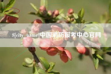 宁波中国消防报考中心官网