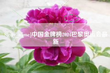 宁波中国金牌榜2024巴黎奥运会最新
