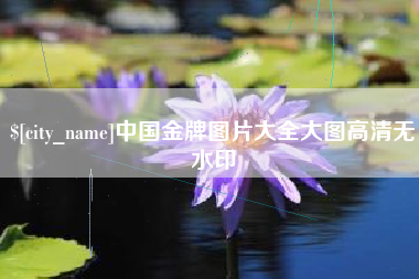 宁波中国金牌图片大全大图高清无水印