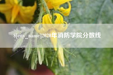 宁波2020年消防学院分数线