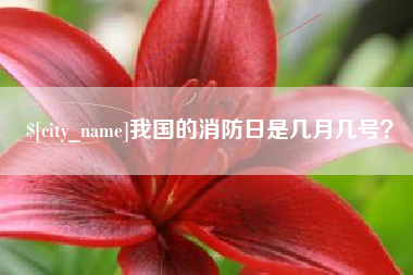 宁波我国的消防日是几月几号？