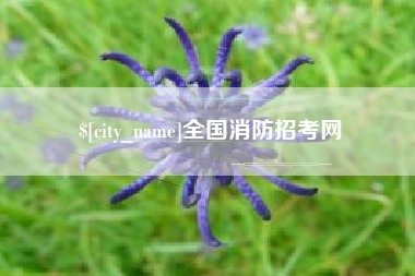 宁波全国消防招考网