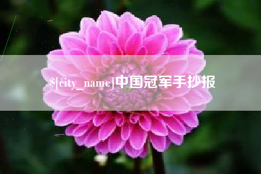 宁波中国冠军手抄报