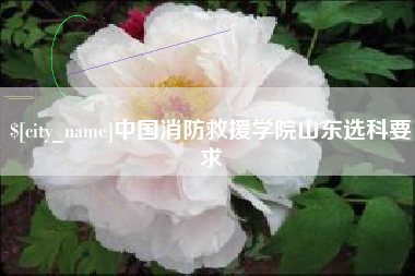 宁波中国消防救援学院山东选科要求