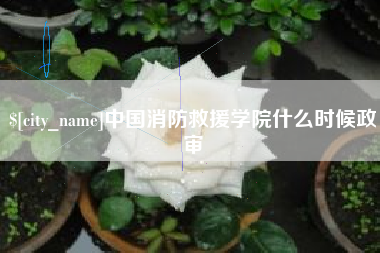 宁波中国消防救援学院什么时候政审