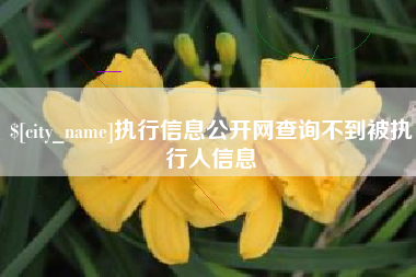 宁波执行信息公开网查询不到被执行人信息