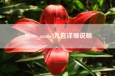 宁波九宫详细说明