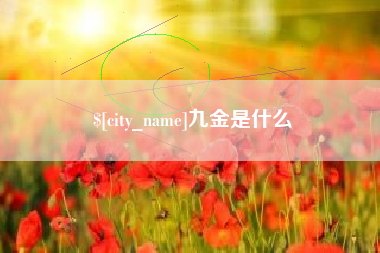 宁波九金是什么