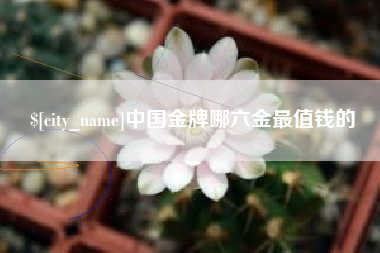 宁波中国金牌哪六金最值钱的