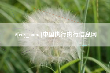宁波中国执行执行信息网