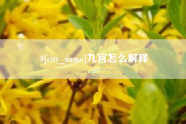 宁波九宫怎么解释