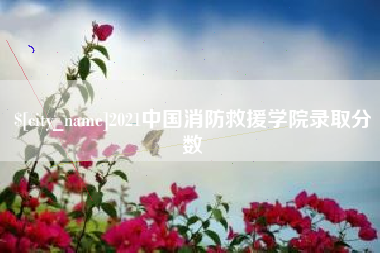 宁波2021中国消防救援学院录取分数