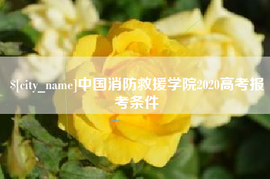 宁波中国消防救援学院2020高考报考条件
