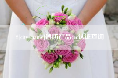 宁波消防产品ccc认证查询