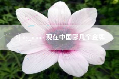 宁波现在中国哪几个金牌
