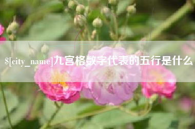 宁波九宫格数字代表的五行是什么