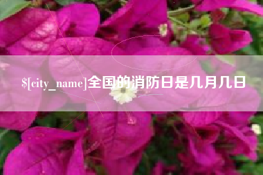 宁波全国的消防日是几月几日