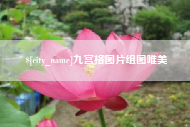 宁波九宫格图片组图唯美